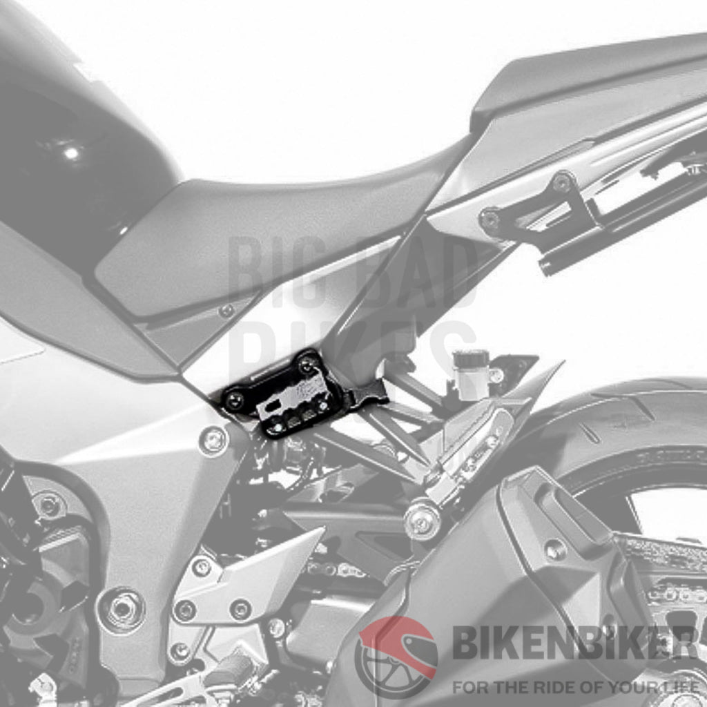 Kawasaki Ninja 1000 Luggage - Blaze Saddlebag Mount Sw-Motech Side Carrier