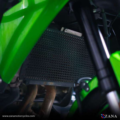 Kawasaki Versys 650 Radiator Guard(Grill) - Zana Guard