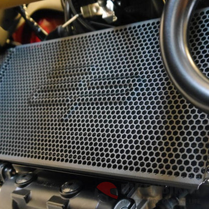 Suzuki V-Strom 1000 Radiator Guard 2014 + Evotech Performance